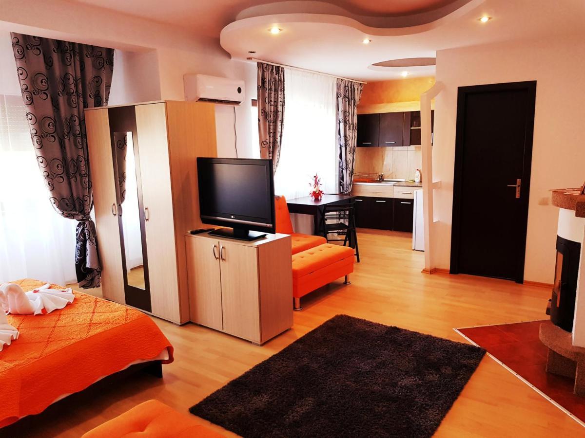 Pensiunea Red Rose Apartments Timisoara Exterior photo