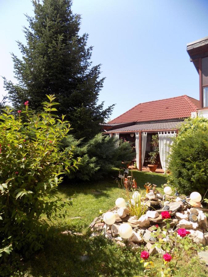 Pensiunea Red Rose Apartments Timisoara Exterior photo