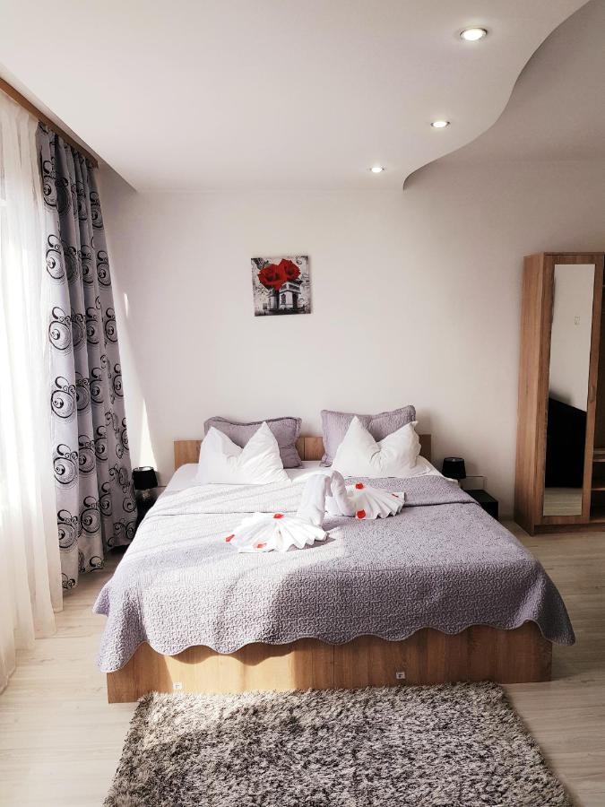 Pensiunea Red Rose Apartments Timisoara Exterior photo