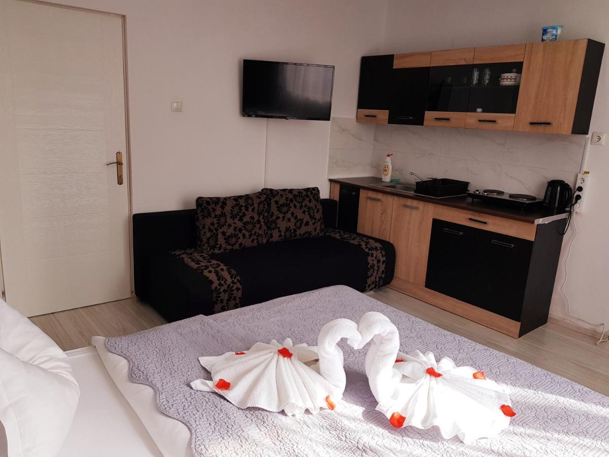 Pensiunea Red Rose Apartments Timisoara Exterior photo