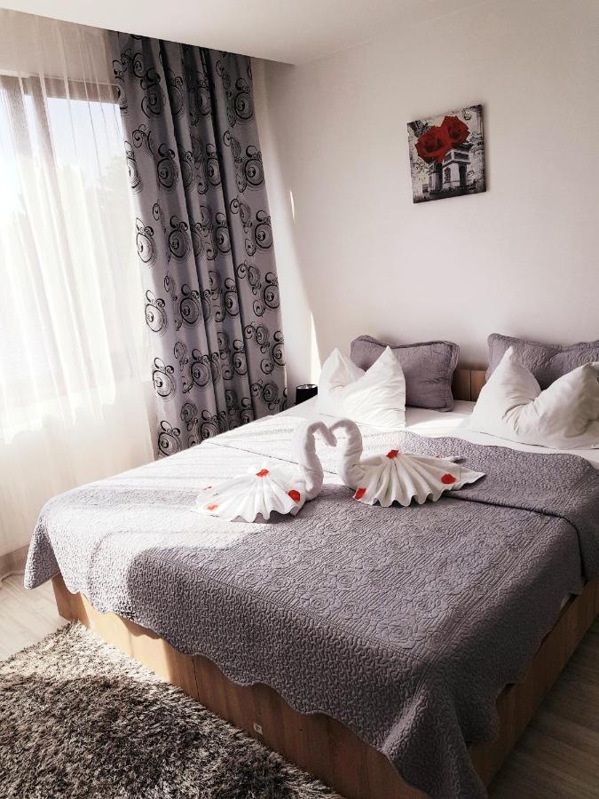 Pensiunea Red Rose Apartments Timisoara Exterior photo