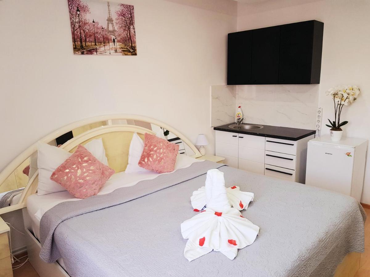 Pensiunea Red Rose Apartments Timisoara Exterior photo