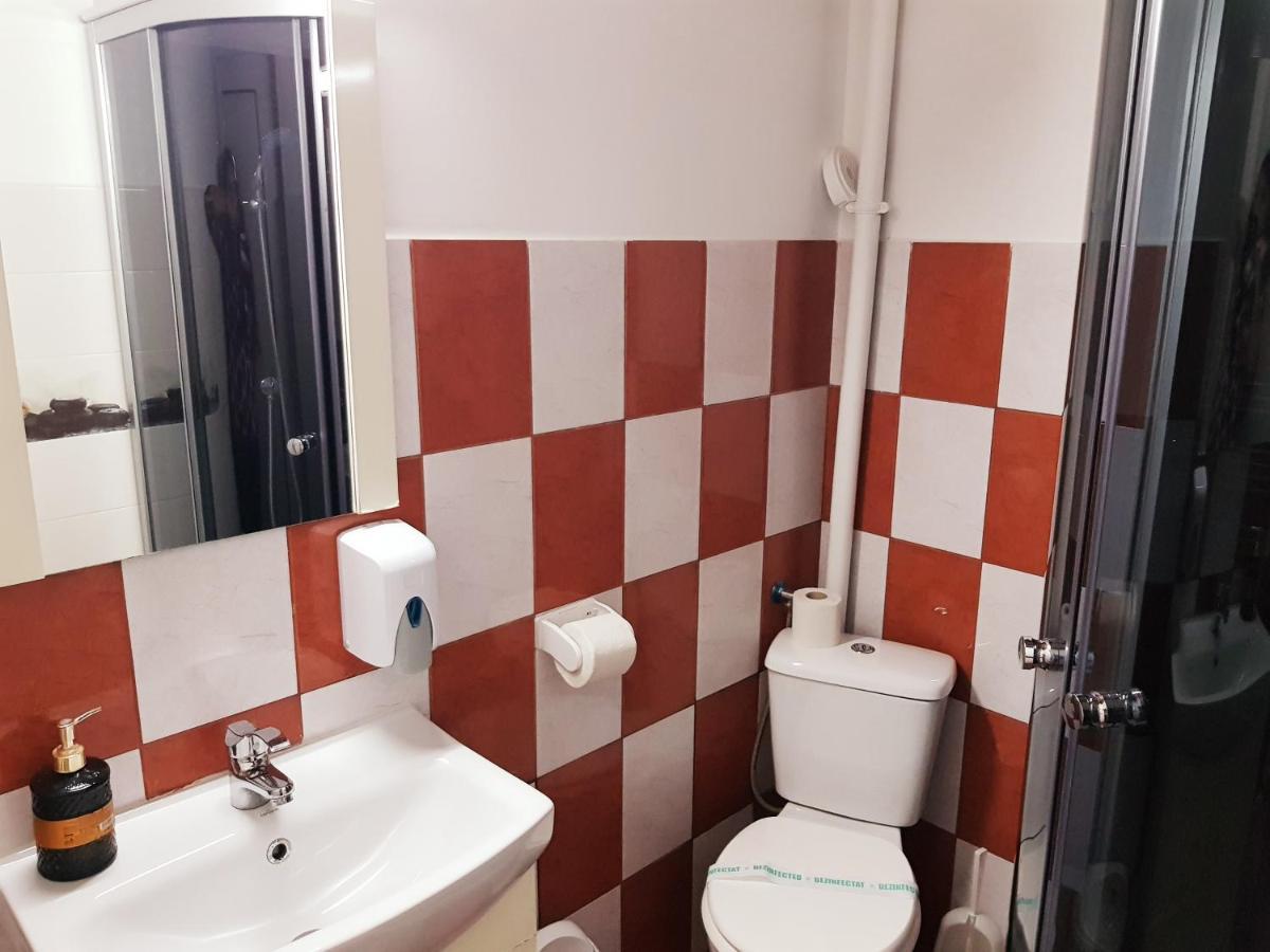 Pensiunea Red Rose Apartments Timisoara Exterior photo
