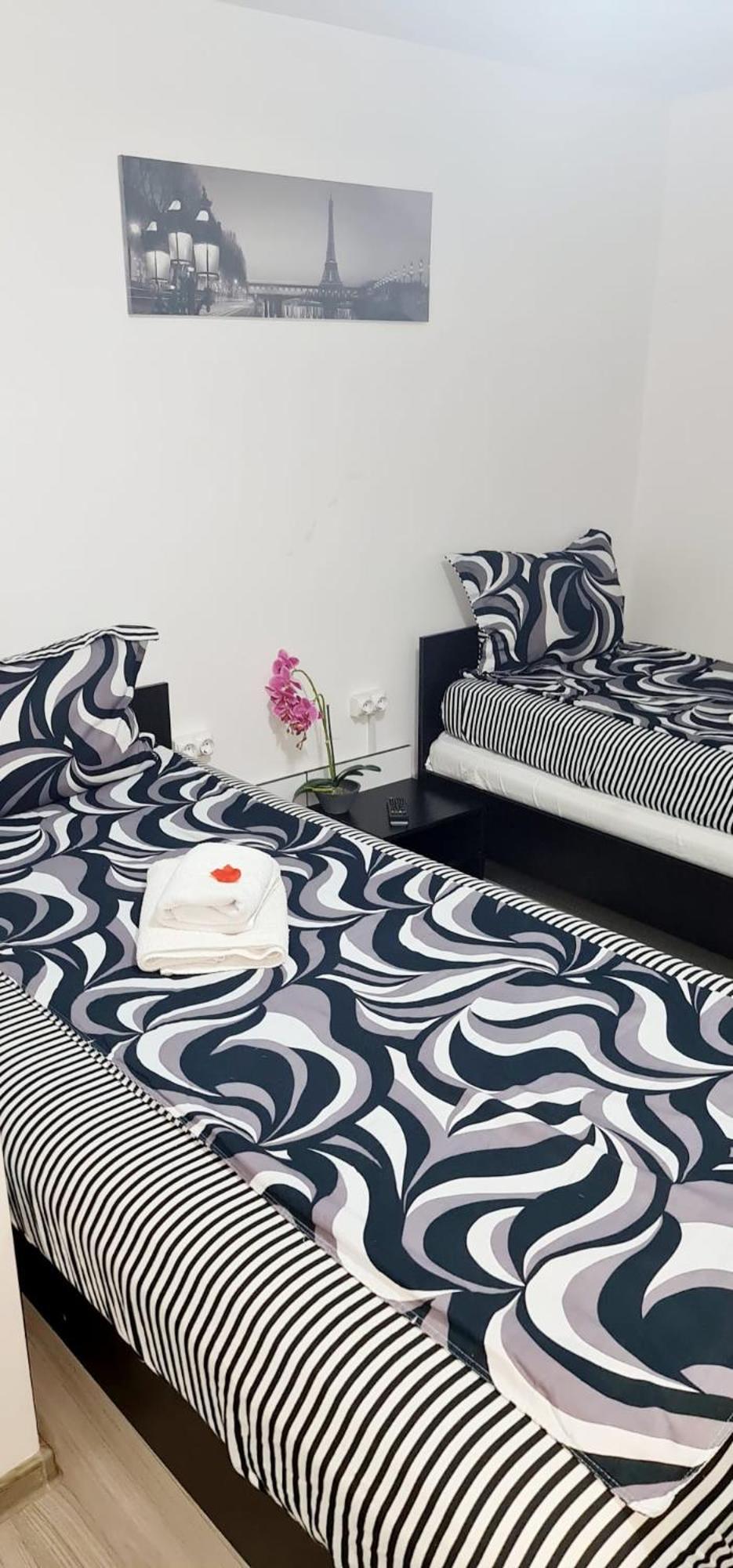 Pensiunea Red Rose Apartments Timisoara Exterior photo