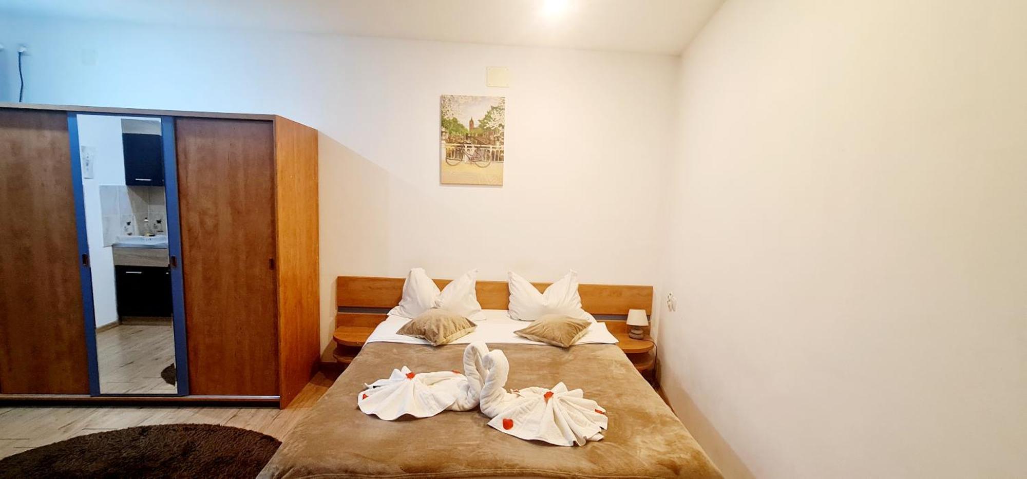Pensiunea Red Rose Apartments Timisoara Room photo