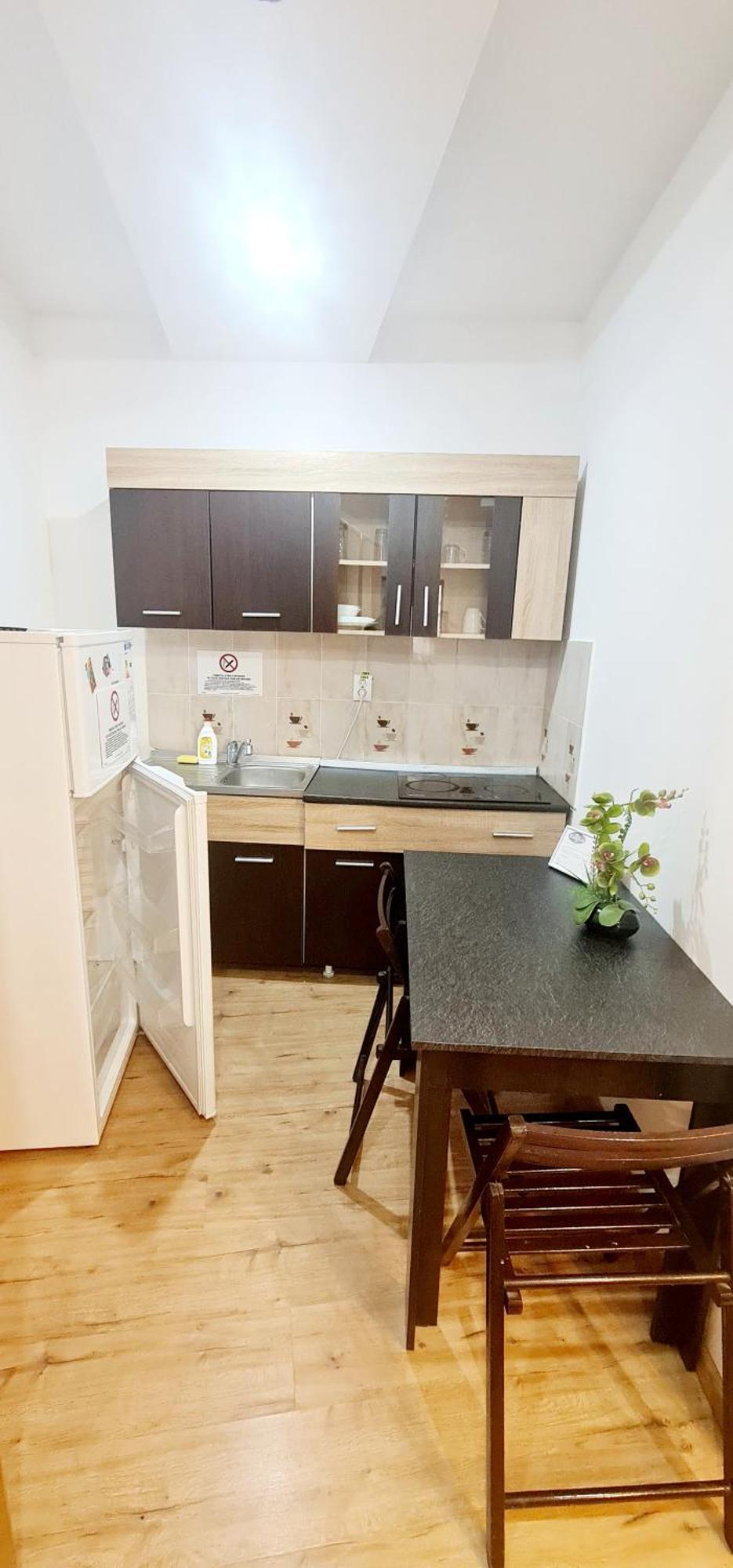 Pensiunea Red Rose Apartments Timisoara Exterior photo