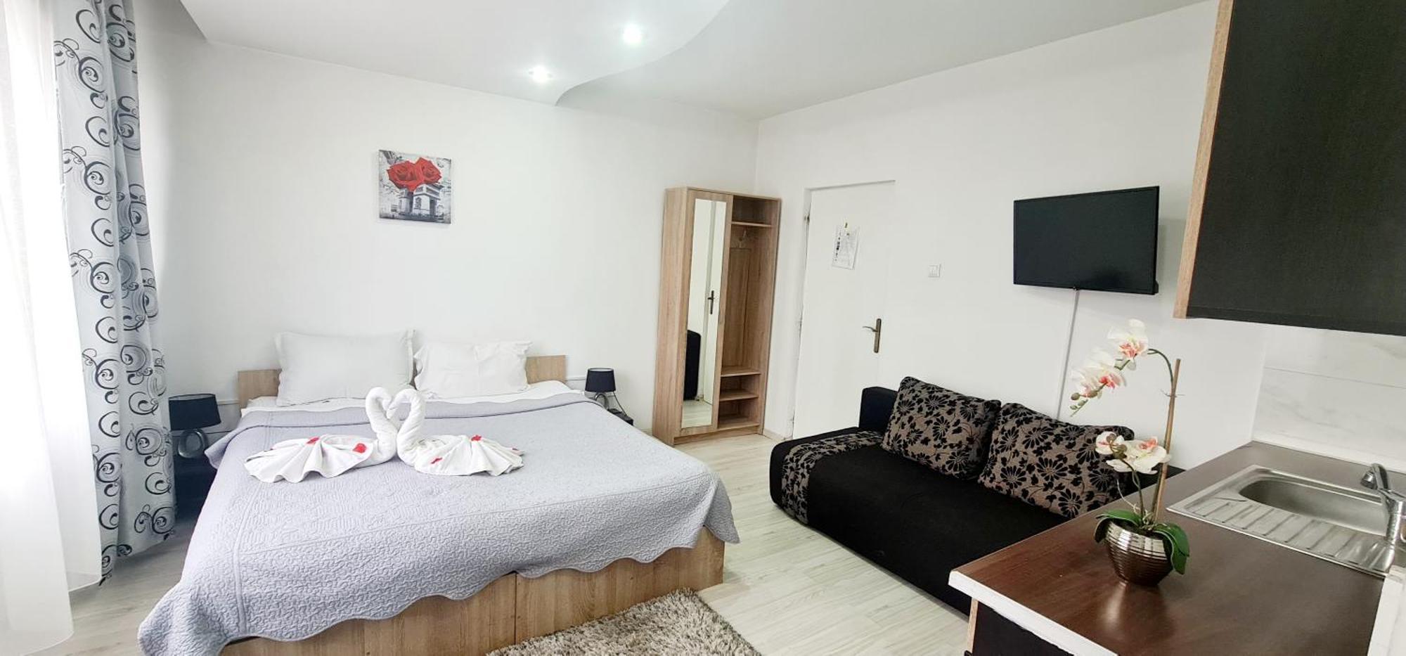 Pensiunea Red Rose Apartments Timisoara Exterior photo
