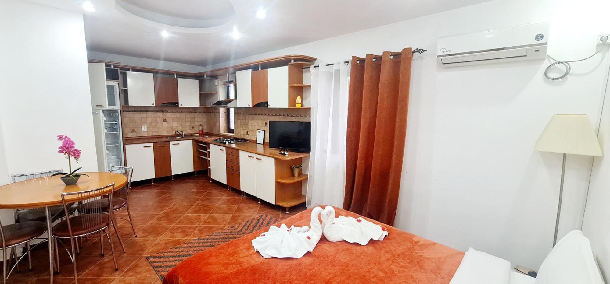 Pensiunea Red Rose Apartments Timisoara Exterior photo