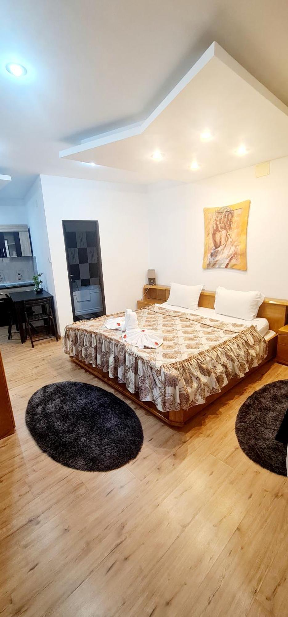 Pensiunea Red Rose Apartments Timisoara Exterior photo